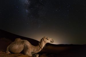 Bajocero Expediciones - Dormir en el Desierto del Sahara: solos tú y las estrellas